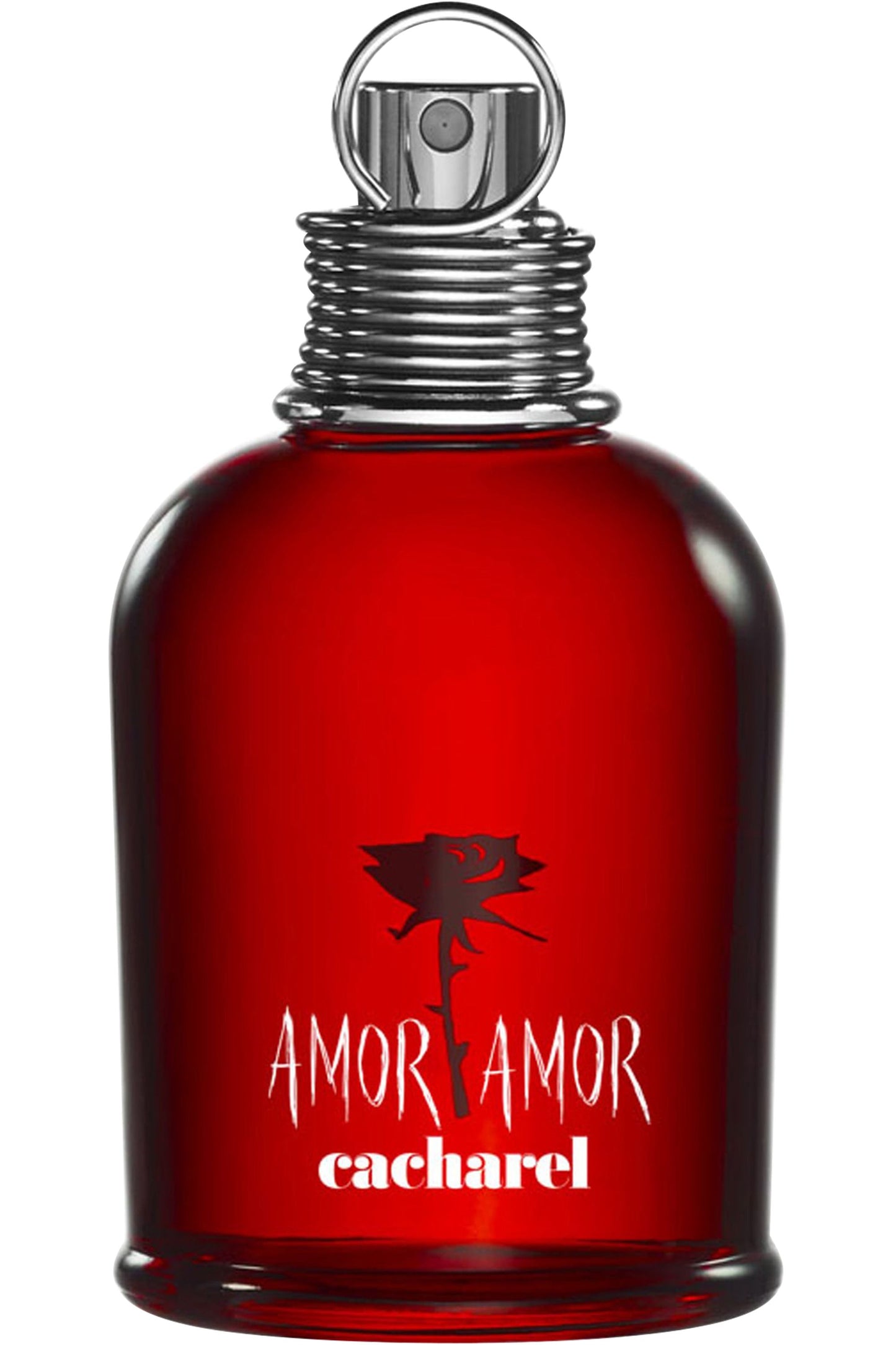 Amor Amor